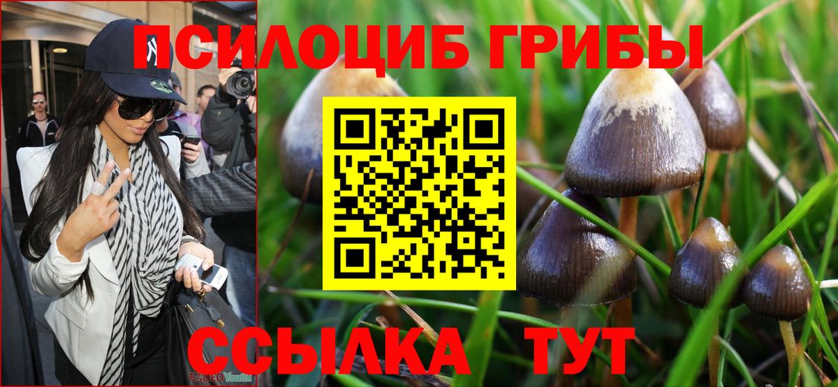 Галлюциногенные грибы Cubensis  Галлюциногенные грибы Psilocybe  цены   Вход с VPN  Сердобск 